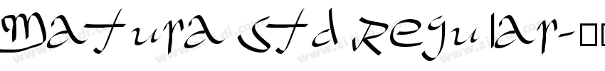 Matura Std Regular字体转换
